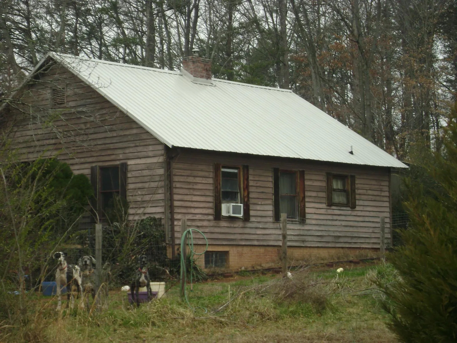 White metal roof on an old wood sided farmhouse, from a Asphalt Shingle Roof Repair job in Dansville
